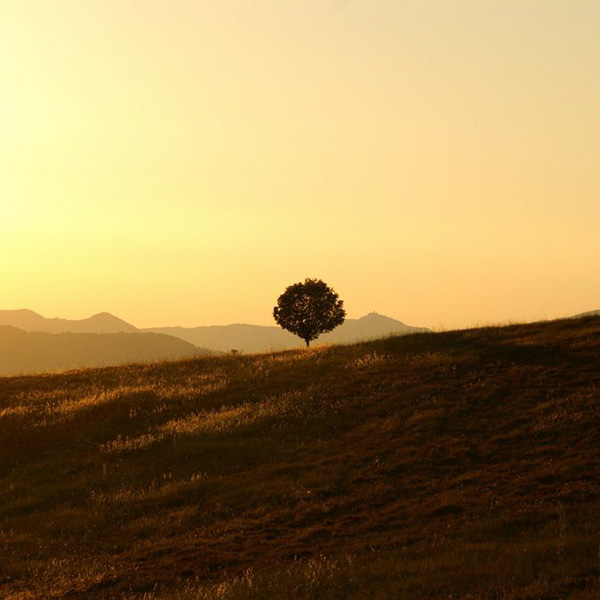 Madame Bernadette THAÏS