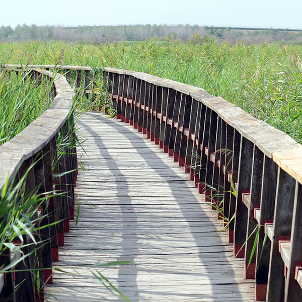 Madame Sylvie LECLERCQ
