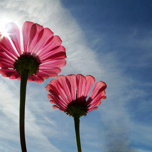 Avis de décès de Monsieur HOUTEKIET